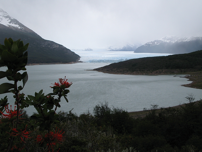 Patagonie 187.jpg
